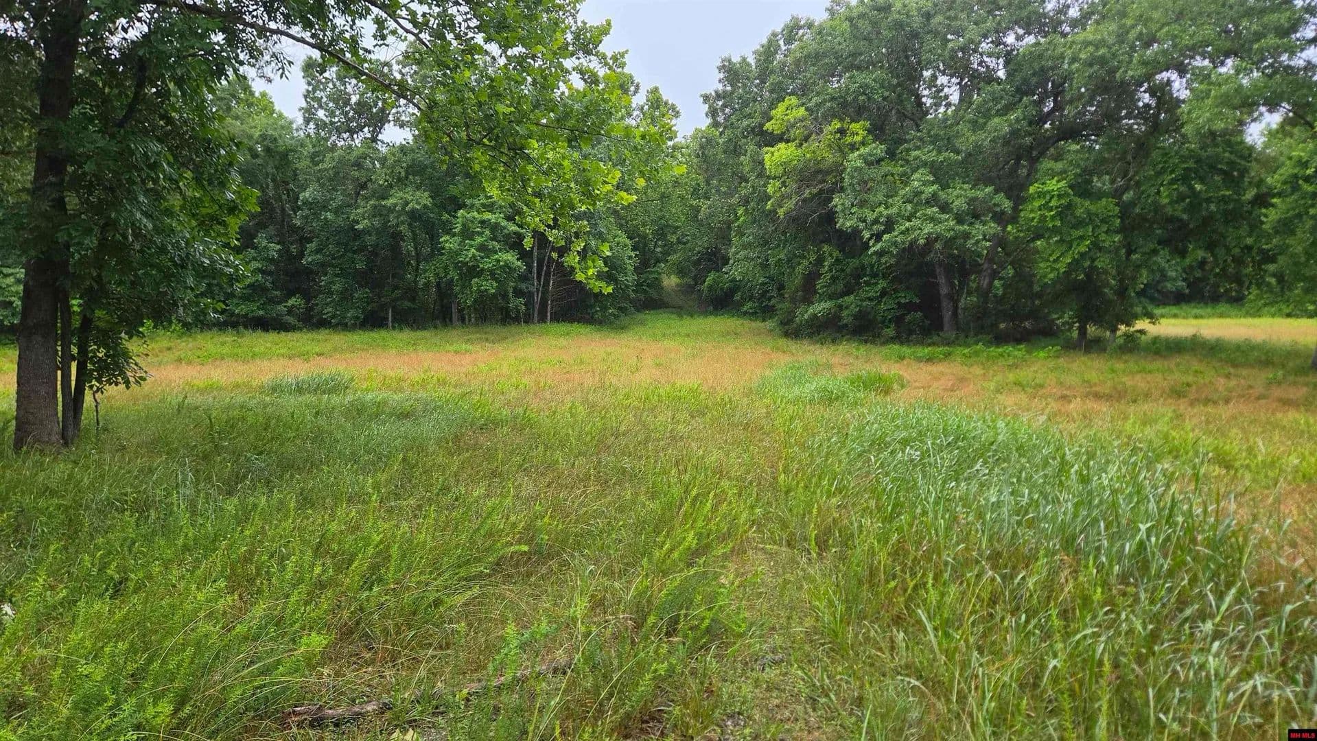 Property from 001-01391-000 MC 8062 - KW - Flippin, Arkansas, 72634