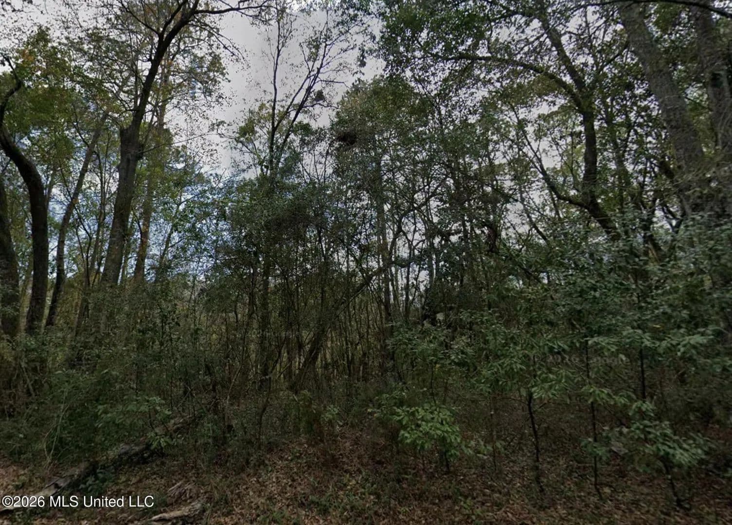 Property from Gregory Street - KW - Moss Point, Mississippi, 39563