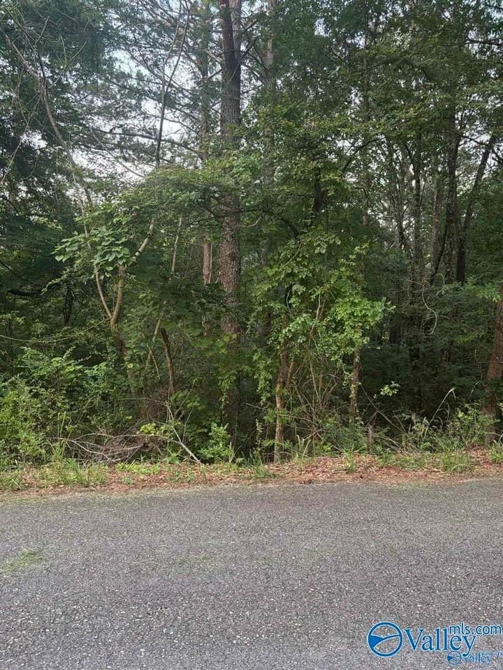0.73 Acres of Land for Sale in Southside, Alabama - Southside, Alabama, 35907