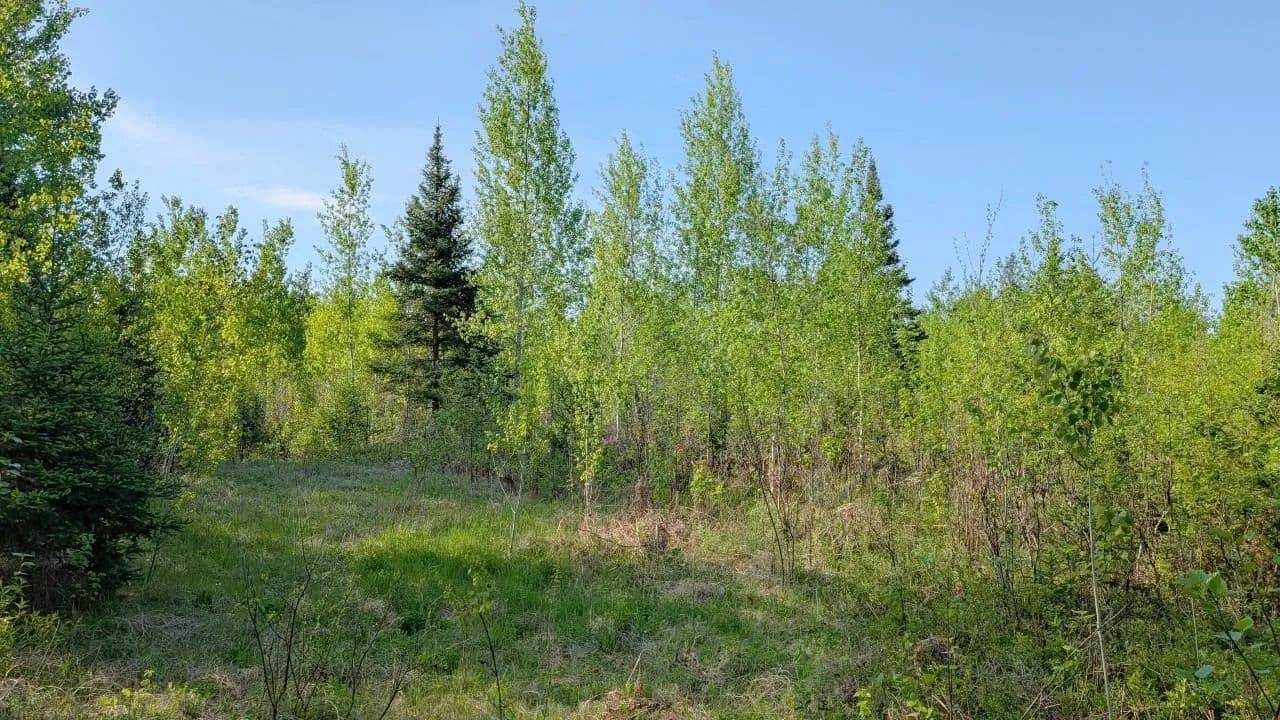 Property from 7573 Thumbnail Drive - KW - Embarrass, Minnesota, 55732