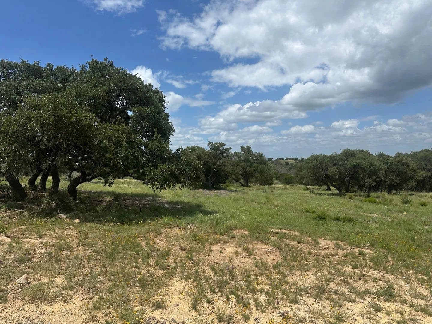 5 Acres of Land for Sale in San Saba, Texas - San Saba, Texas, 76877