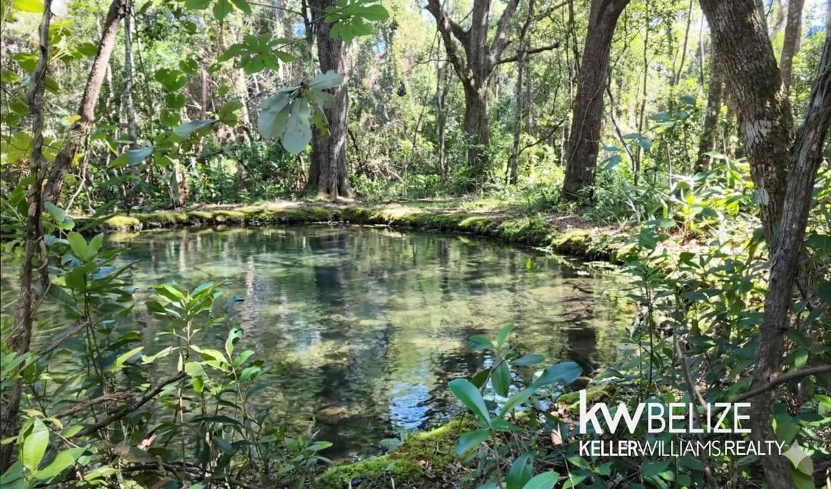 11-Acre Eco Property Near San Ignacio - land for sale