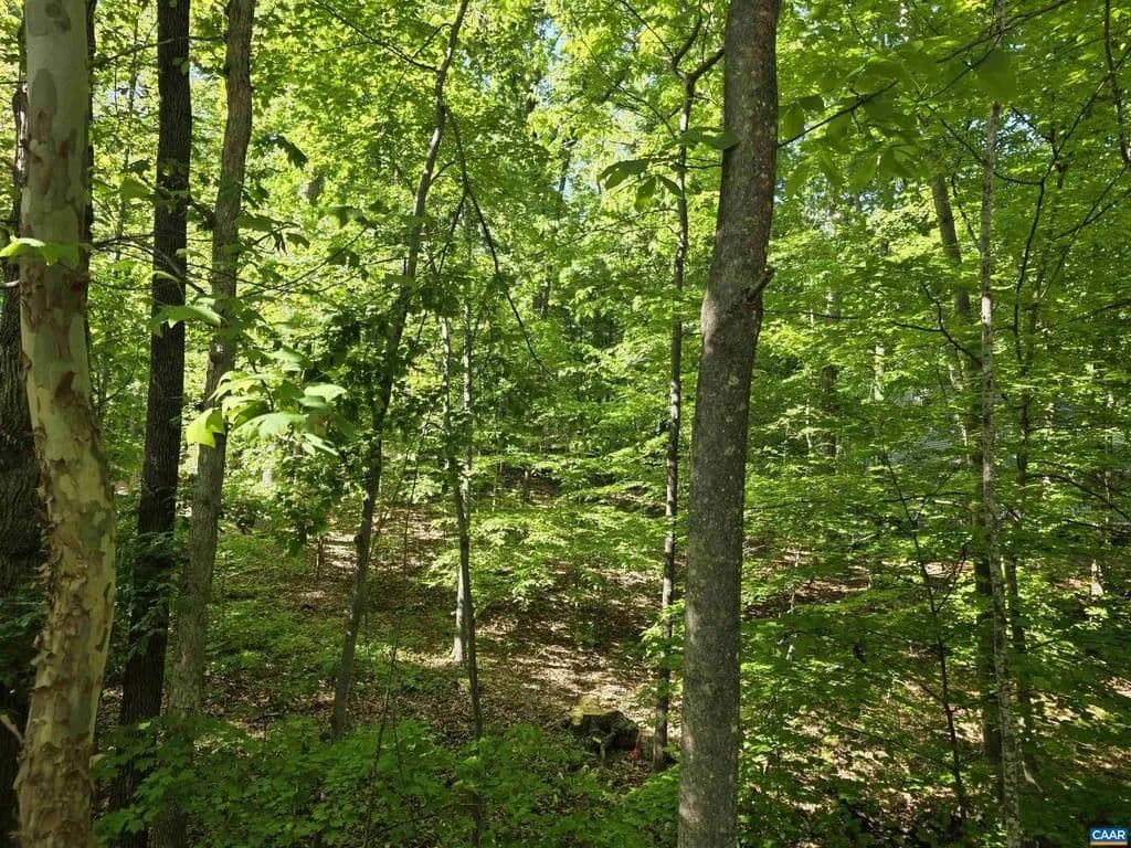 Property from 717 JEFFERSON DR #SECTION 2 LOT 369 - KW - Palmyra, Virginia, 22963