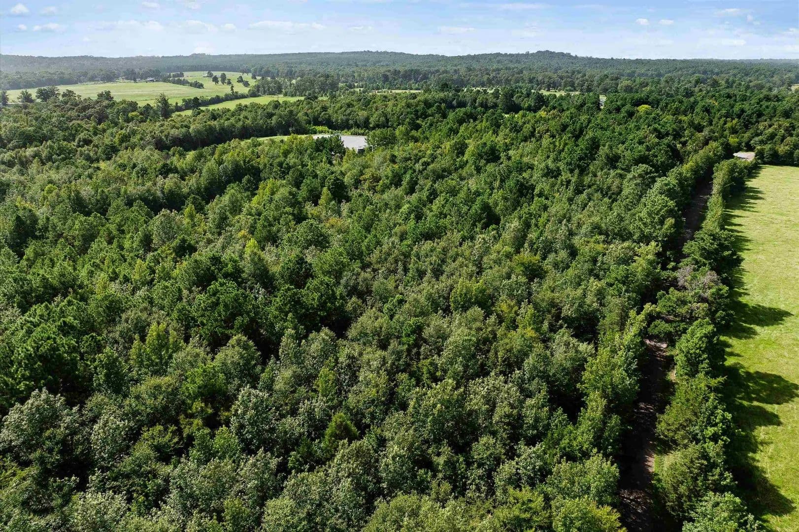 44 Acres of Land for Sale in Henderson, Texas - Henderson, Texas, 75654