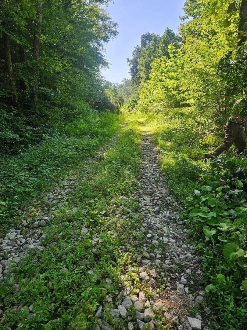 Property from 4242 Right Fork Georges Creek Road - KW - Louisa, Kentucky, 41230