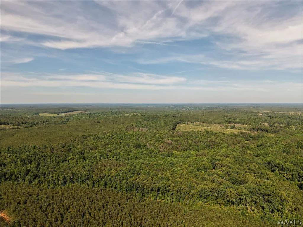 Property from 0000 Co Hwy 97 - KW - Detroit, Alabama, 35552