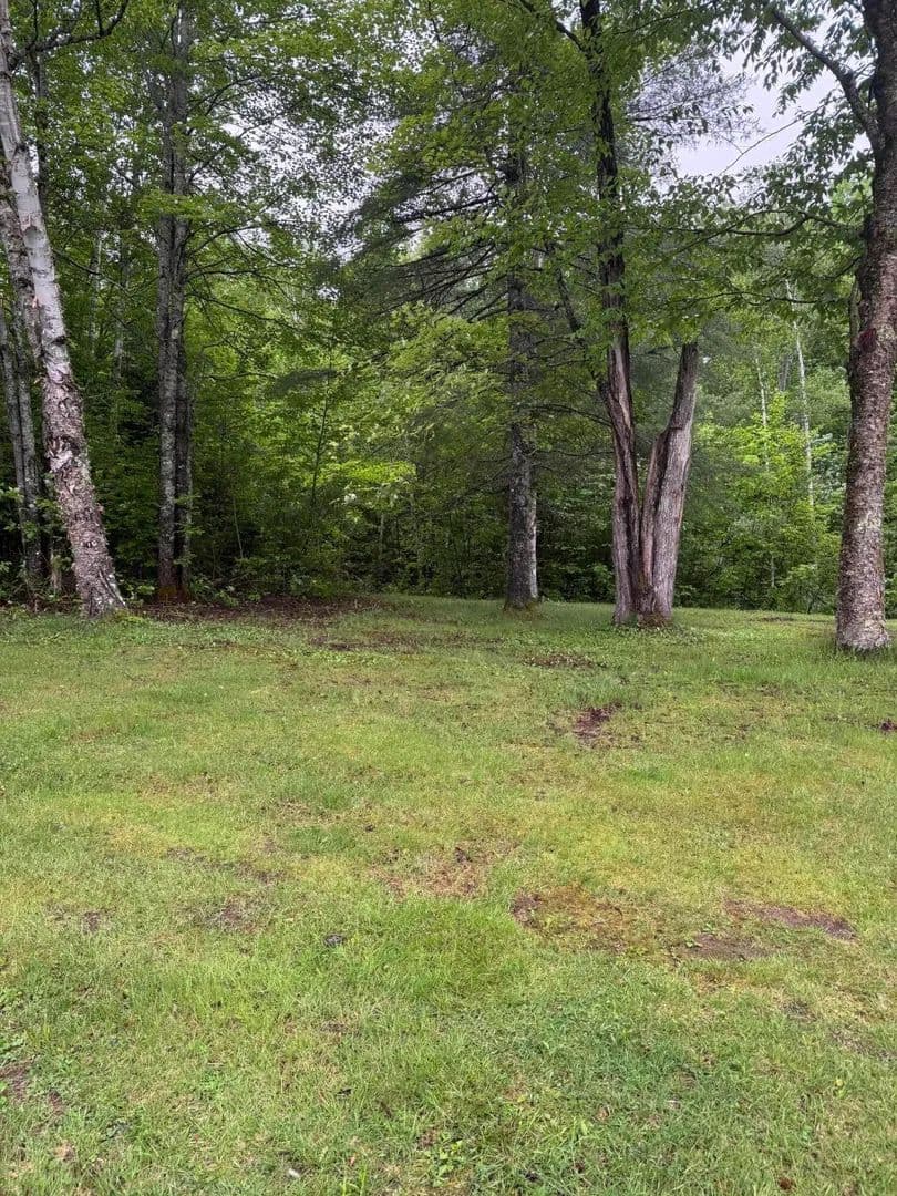 3.6 Acres of Land for Sale in Bradford, Maine - Bradford, Maine, 04410