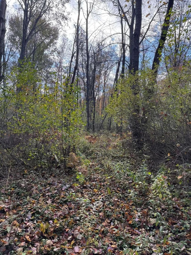 Property from Holt - KW - Holt, Michigan, 48842