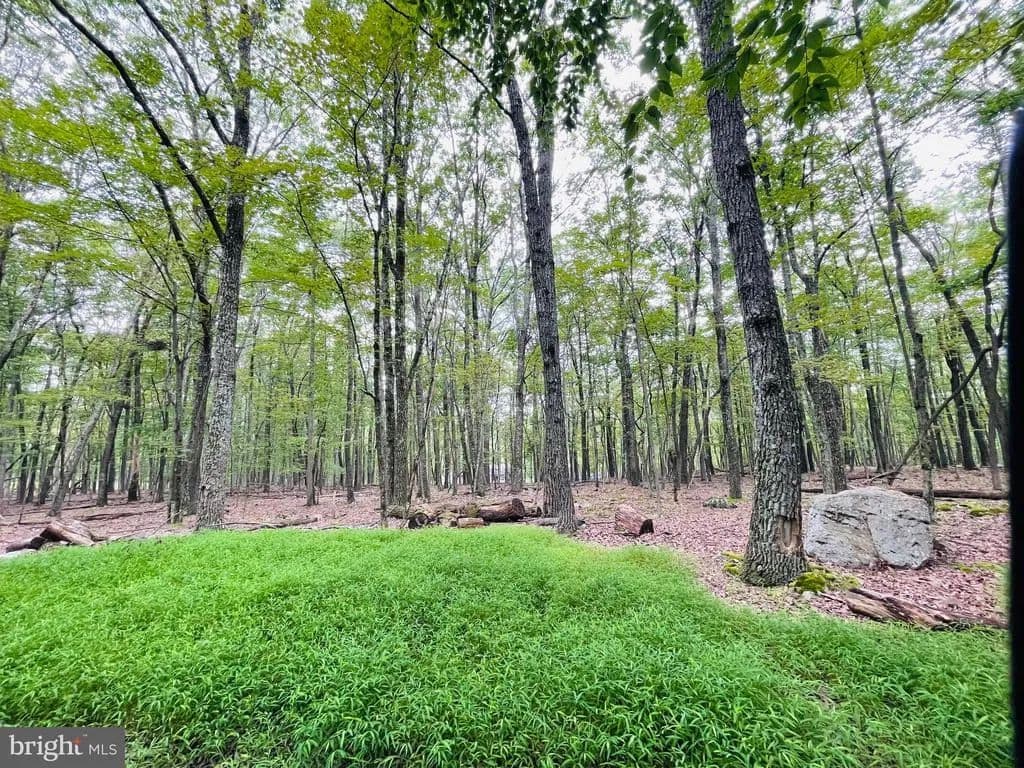 0.6 Acres of Land for Sale in ZION GROVE, PA - Zion Grove, Pennsylvania, 17985