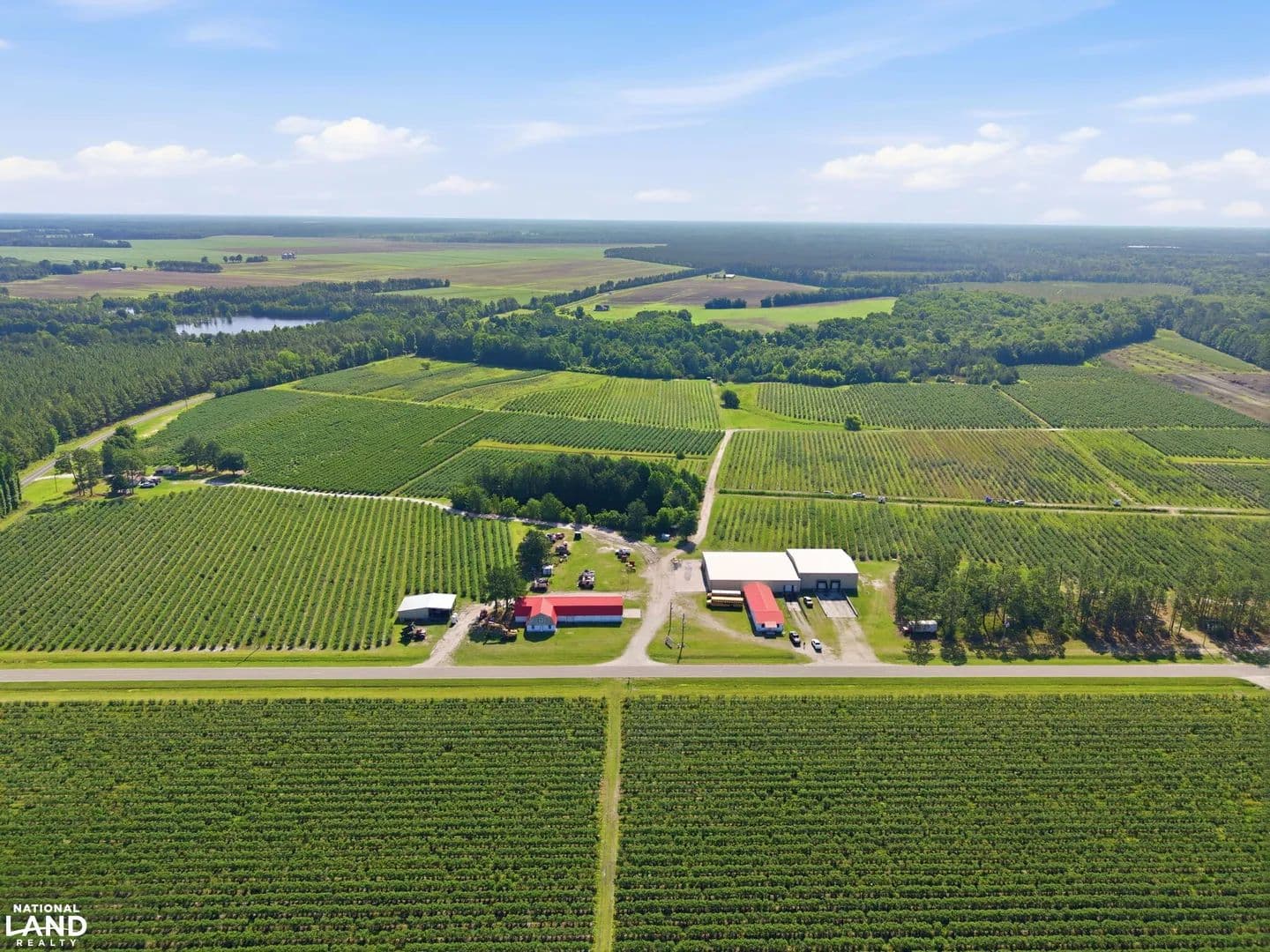 Caroline's Blueberries - Ivanhoe, North Carolina, 28447