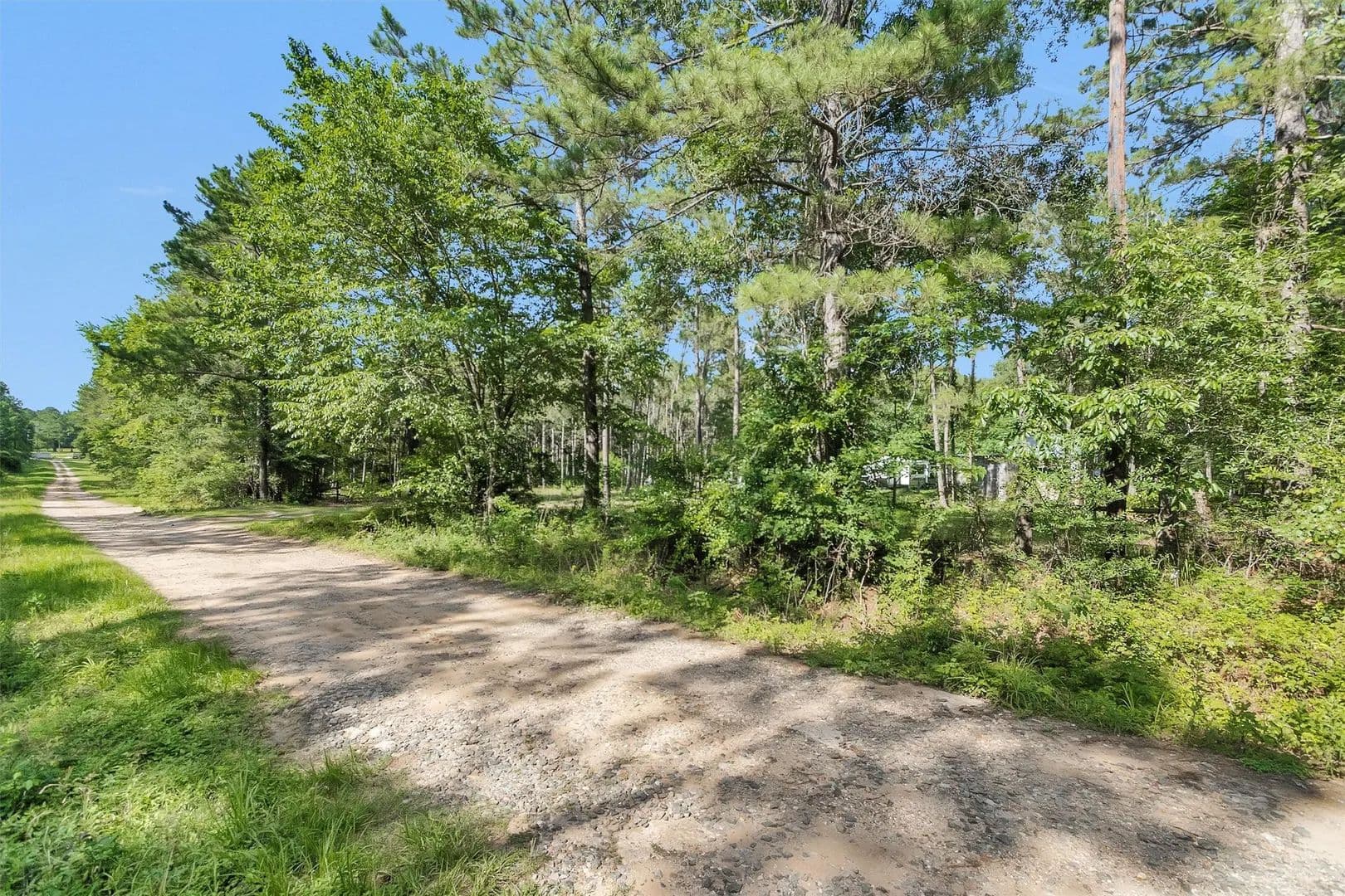 Property from 6493 Planters Row Lane Lane - KW - Plantersville, Texas, 77363