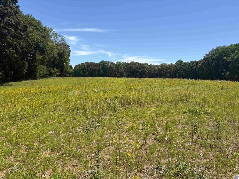 Property from St Rt 129 - KW