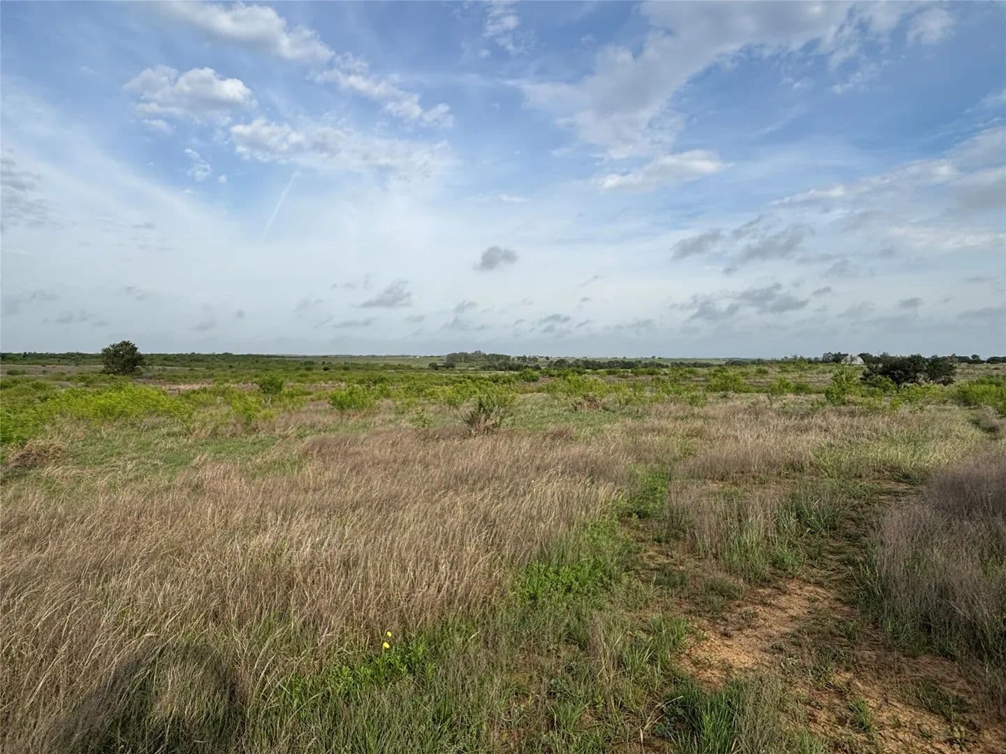 55.59 Acres of Land for Sale in Thrall, Texas - Thrall, Texas, 76578
