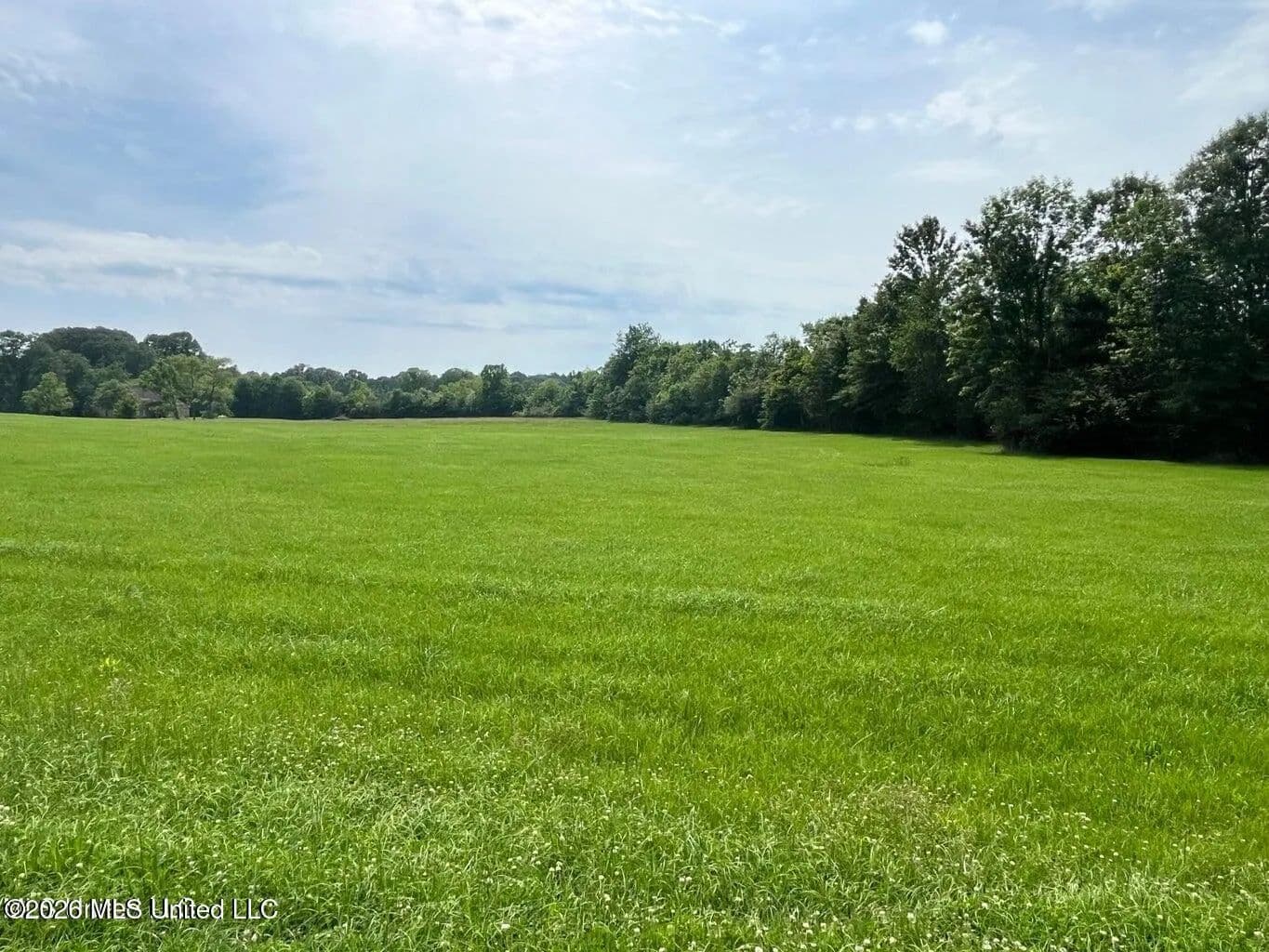 Property from Sky Lake Drive - KW - Pelahatchie, Mississippi, 39145