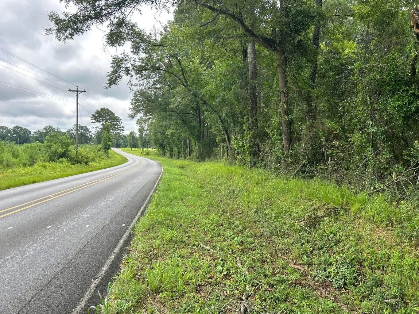 Tuckers Crossing 31 - Land for Sale Jones County, MS - Ellisville, Mississippi, 39437