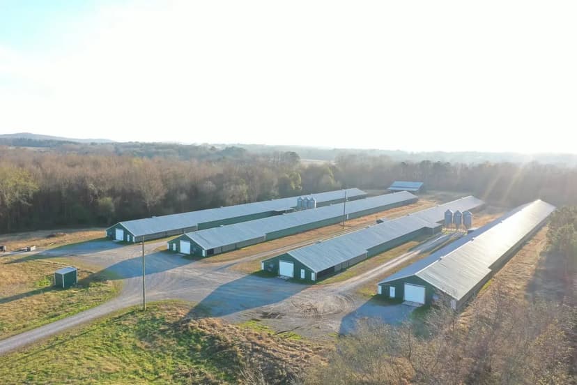 Culwell Broiler Farm – Four House Farm in Blount County, Alabama