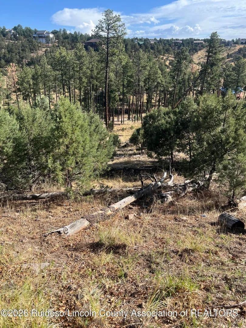 Property from 357 El Camino Drive - KW - Alto, New Mexico, 88312