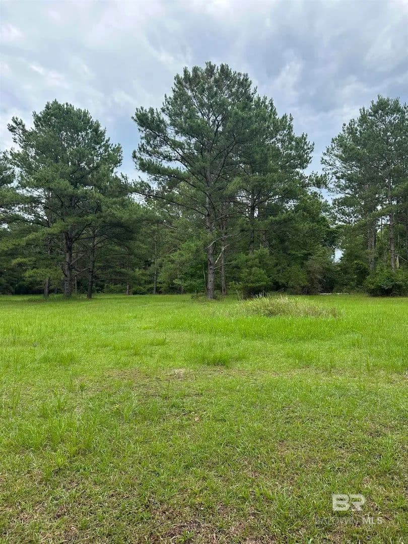 Property from 40140 Dogwood Fork Road - KW - Bay Minette, Alabama, 36507