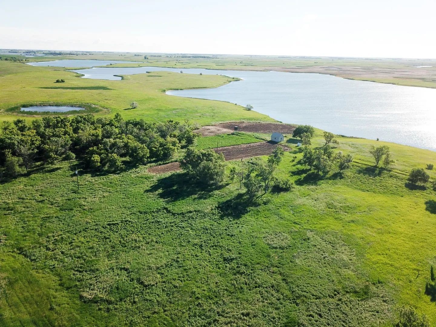 317 Acres of Land for Sale in Rutland, ND - Rutland, North Dakota, 58067