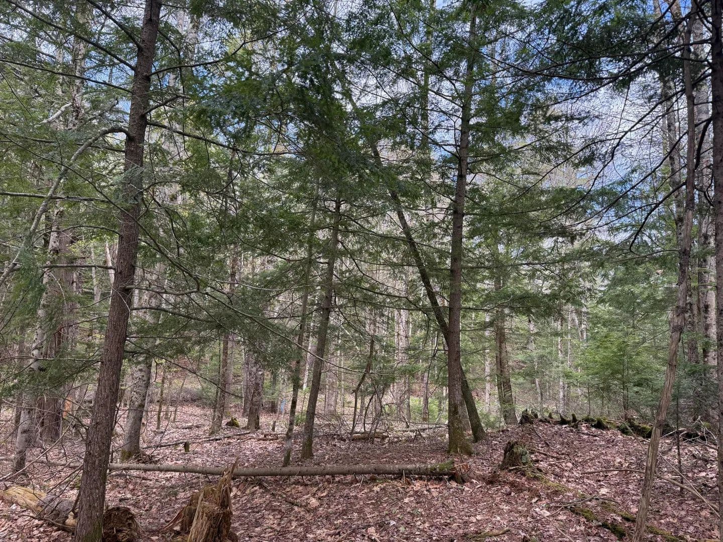 4.85 Acres of Land for Sale in Buxton, Maine - land for sale