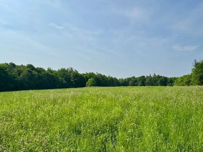 Lots & Land-Other in Hawley