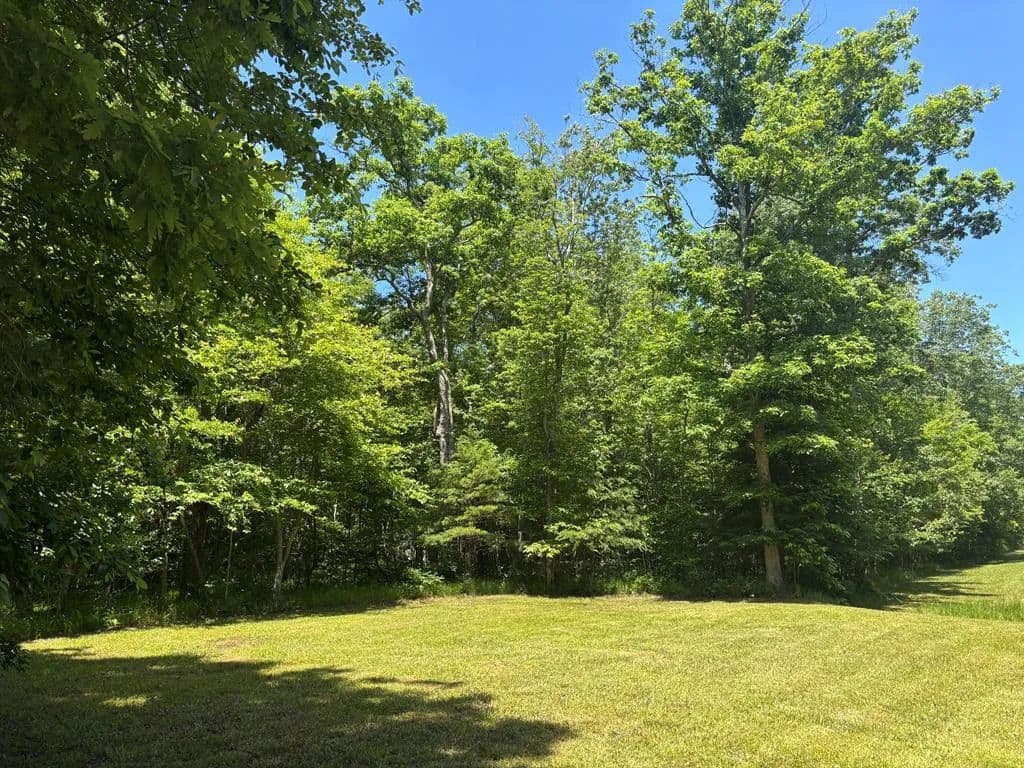3.99 Acres of Land for Sale in Spencer, Tennessee - Spencer, Tennessee, 38585