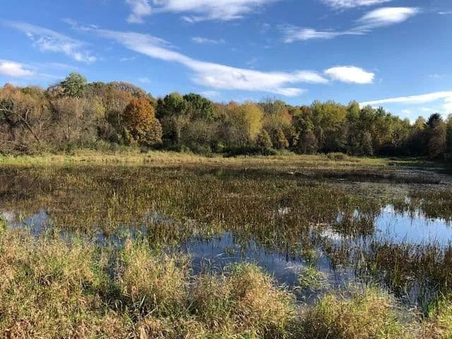 Property from XXX Pomroy Avenue N - KW