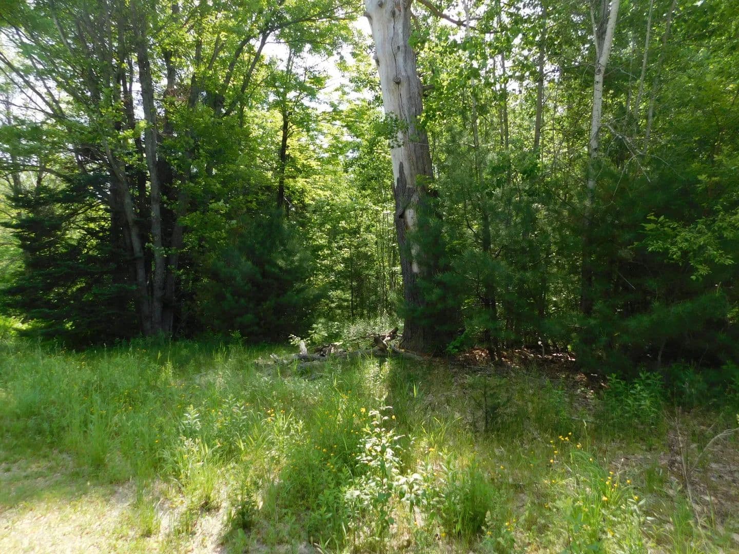 0.7 Acres of Land for Sale in Hartland, Maine - Hartland, Maine, 04943