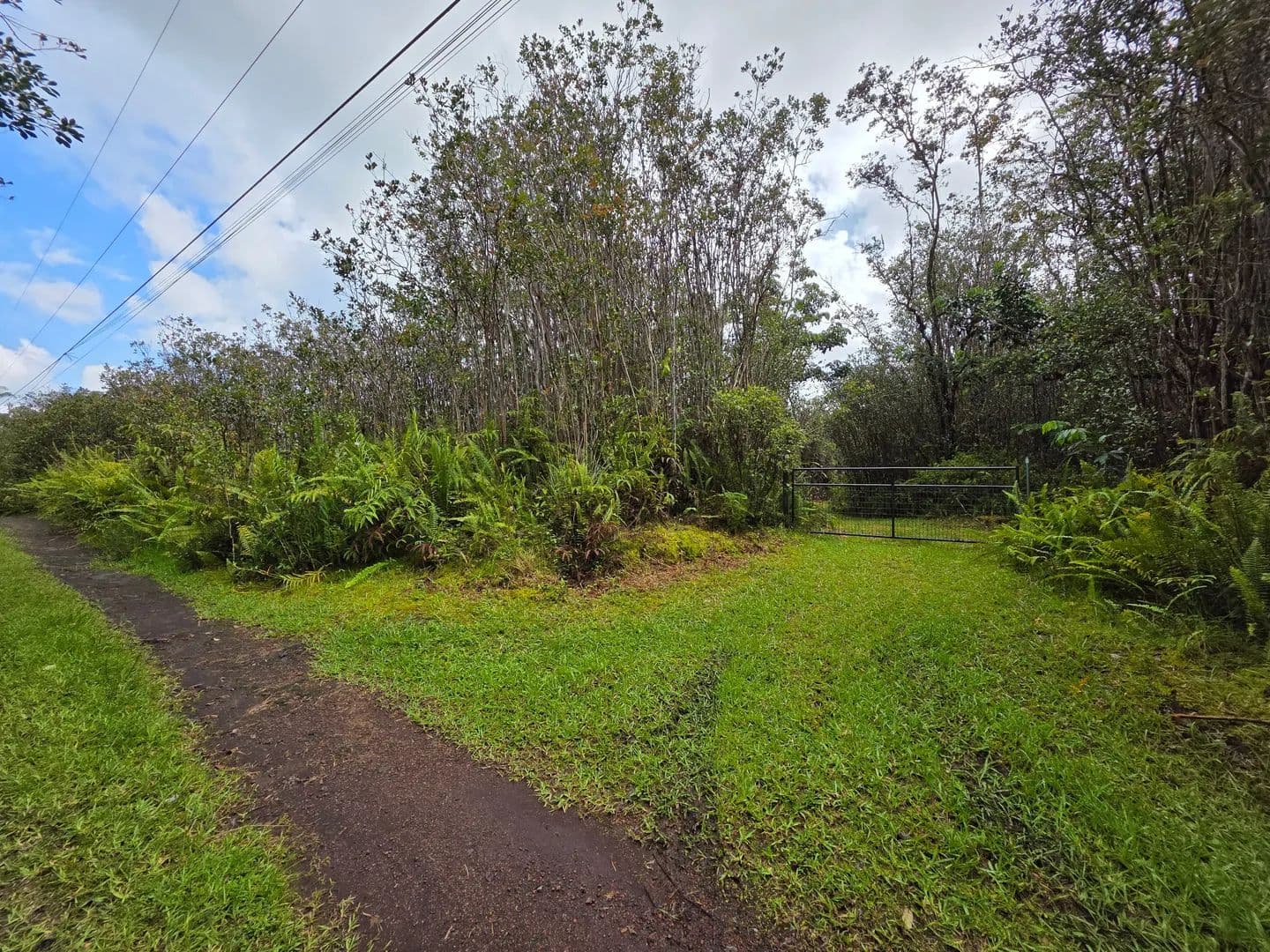 3 Acres of Land for Sale in Kurtistown, Hawaii - Kurtistown, Hawaii, 96760