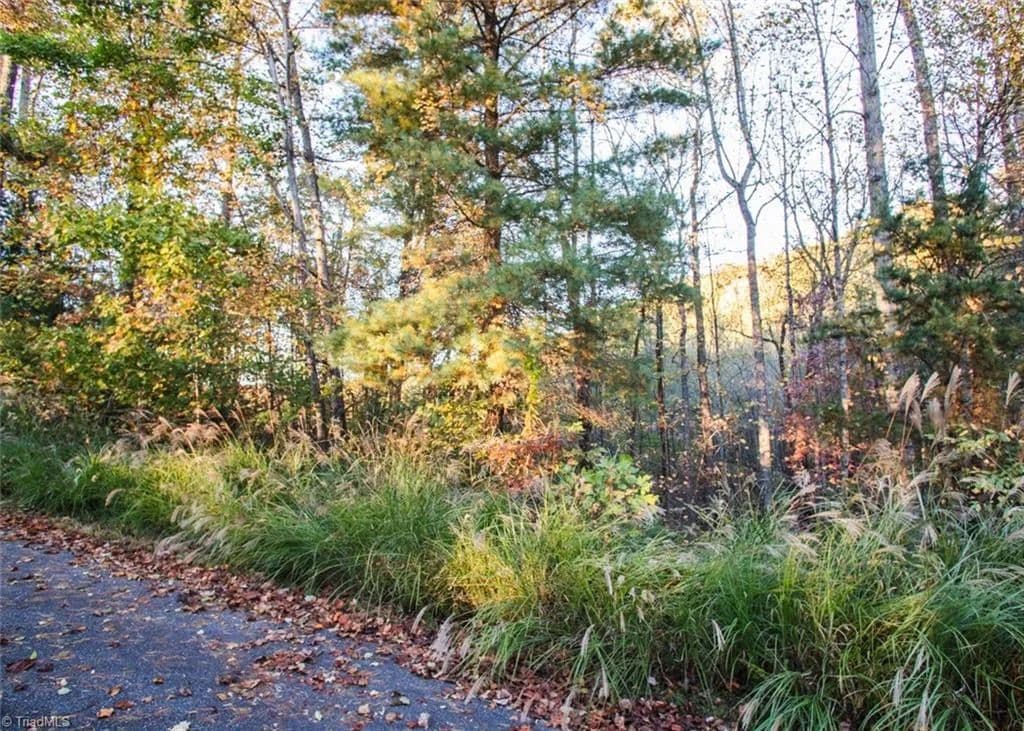 Vacant Land in Millers Creek - Millers Creek, North Carolina, 28651