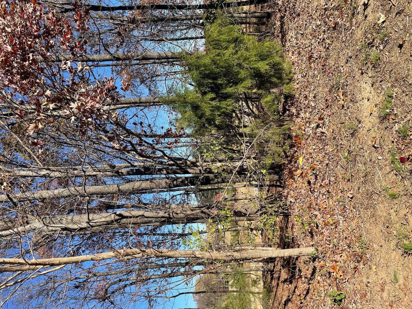 Land -Agricultural (Not Zoned) in Paducah - land for sale