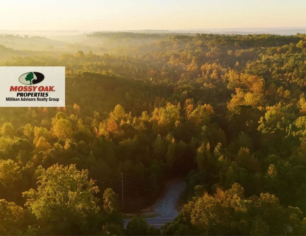Cane Creek Tract C - Pauline, South Carolina, 29374