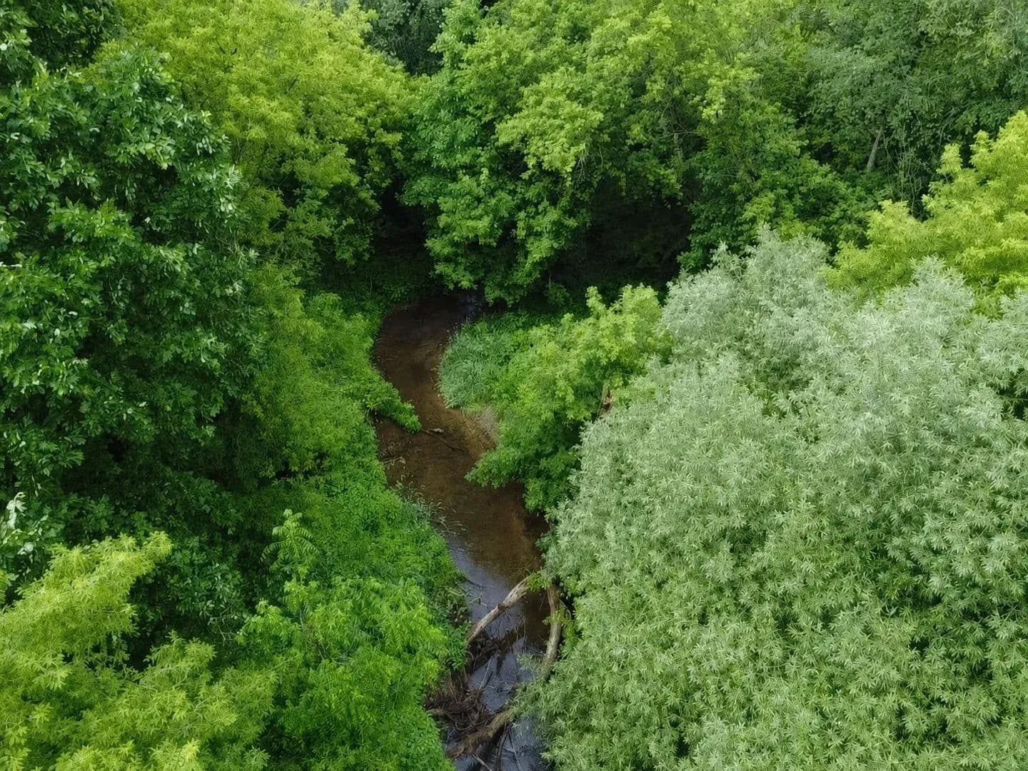 7.57 Acres of Land for Sale in Almont, MI - Almont, Michigan, 48003
