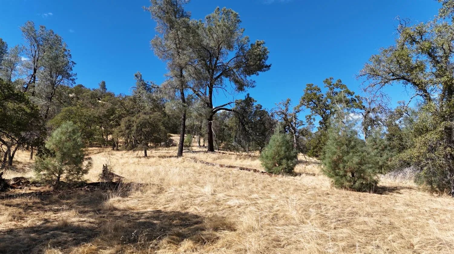 Property from 9816 Deer Hollow Trail - KW - Browns Valley, California, 95918