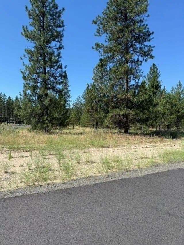 Vacant Land in Nine Mile Falls - Nine Mile Falls, Washington, 99026