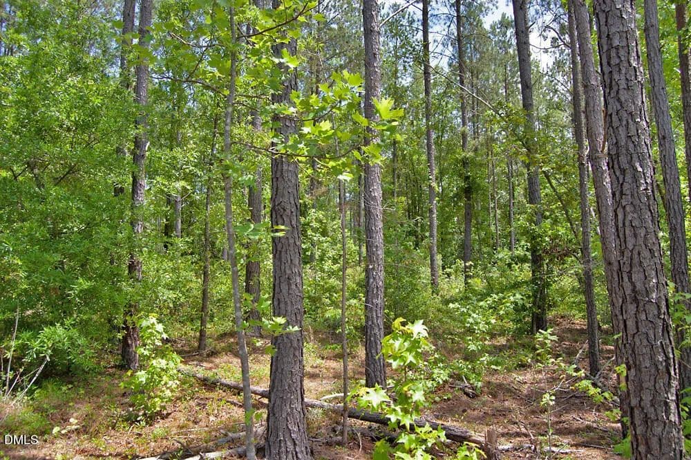Property from F G F Ball Road - KW - Louisburg, North Carolina, 27549