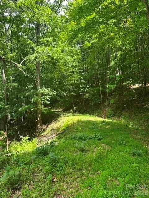 Property from TBD Mountain Home Road #2 - KW - Elk Park, North Carolina, 28622