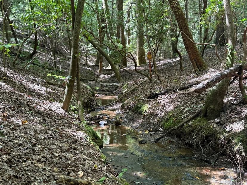 Hemlock Hollow - 27+/- Acres Adjoining Bankhead Forest