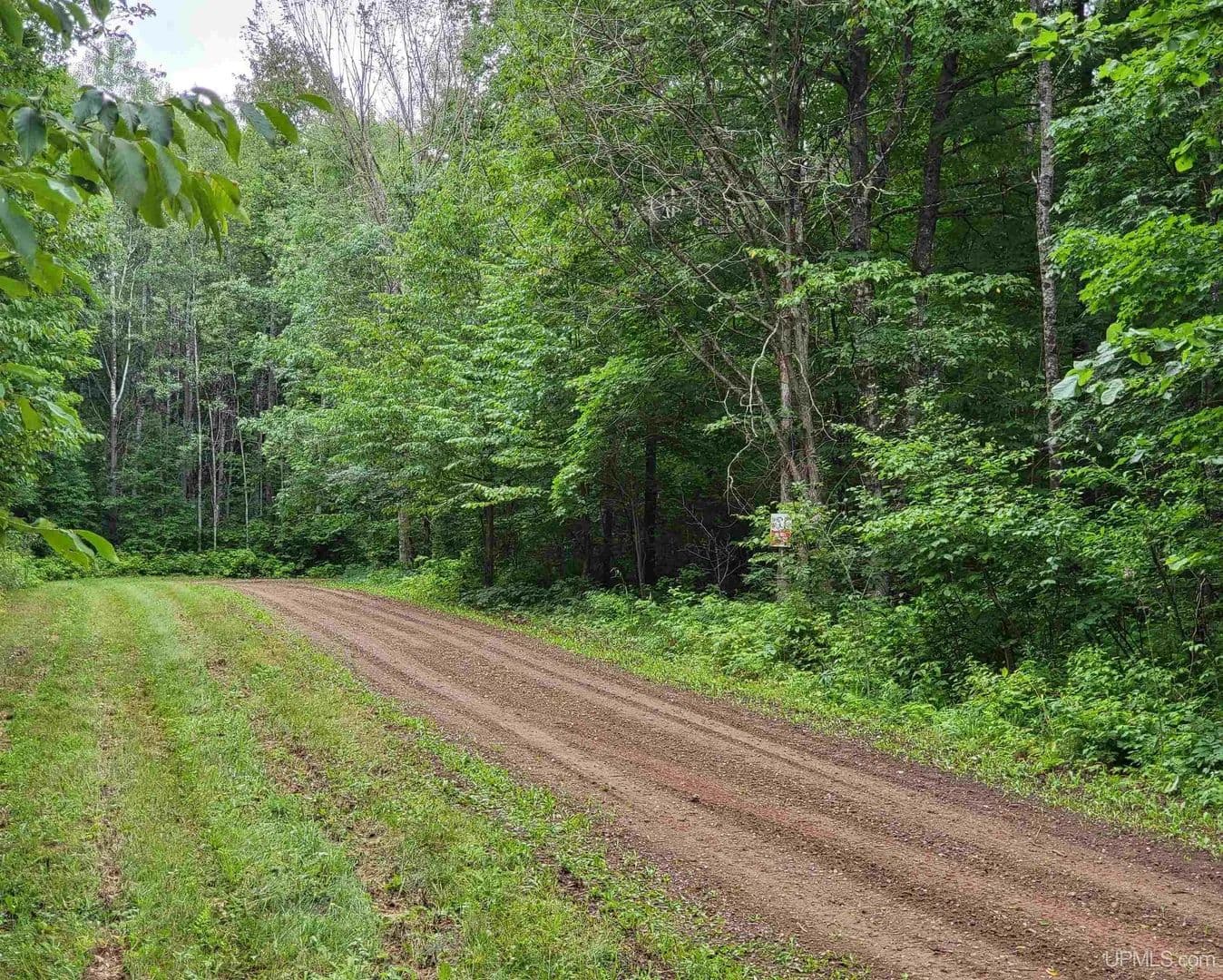 8.1 Acres of Land for Sale in Wisconsin - Wisconsin, 54542