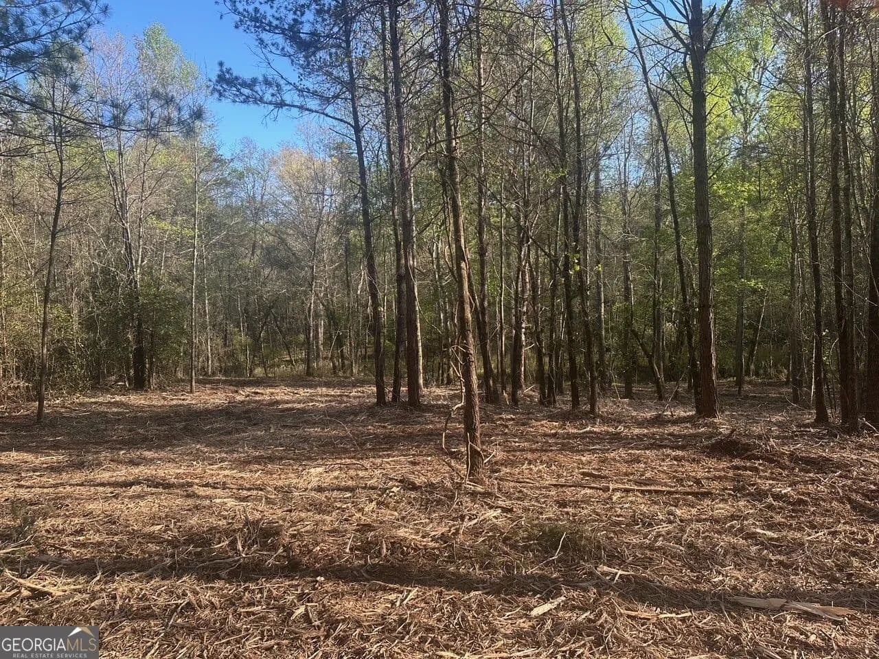 Property from 0 Lee Mashburn Road - KW - Dahlonega, Georgia, 30533