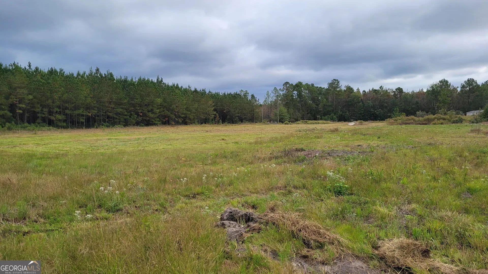 Property from 88 Rogers Break Road - KW - Jesup, Georgia, 31546