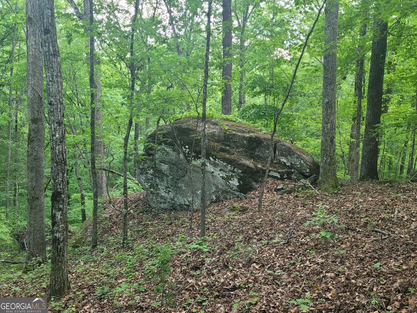 Property from 0 Fincherville Rd #TRACT #3 - KW - Jackson, Georgia, 30233
