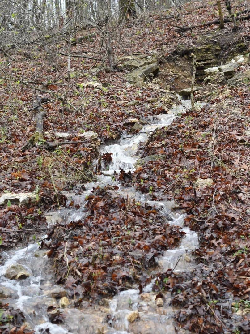 3.12 Acres of Land for Sale in Elk Creek, MO - Elk Creek, Missouri, 65464