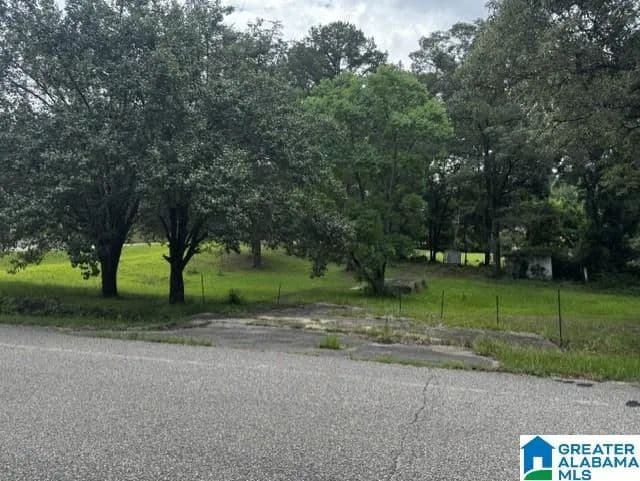 0.34 Acres of Land for Sale in CALERA, AL - Calera, Alabama, 35040