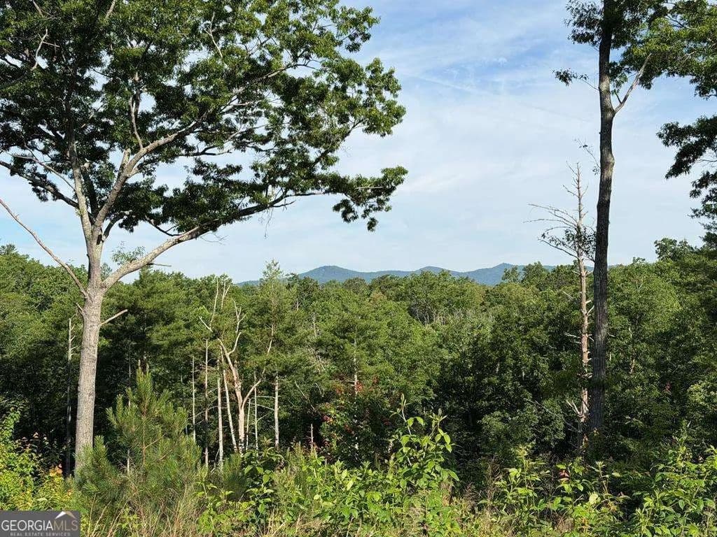 Property from LT 304 Greenwood Court #304 - KW - Ellijay, Georgia, 30540