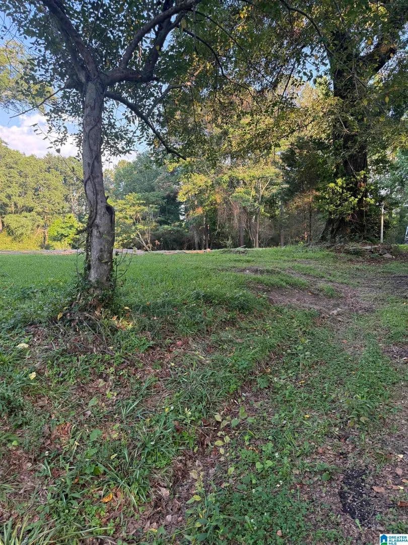Property from 937 MORRIS MAJESTIC ROAD #1 - KW - Morris, Alabama, 35116
