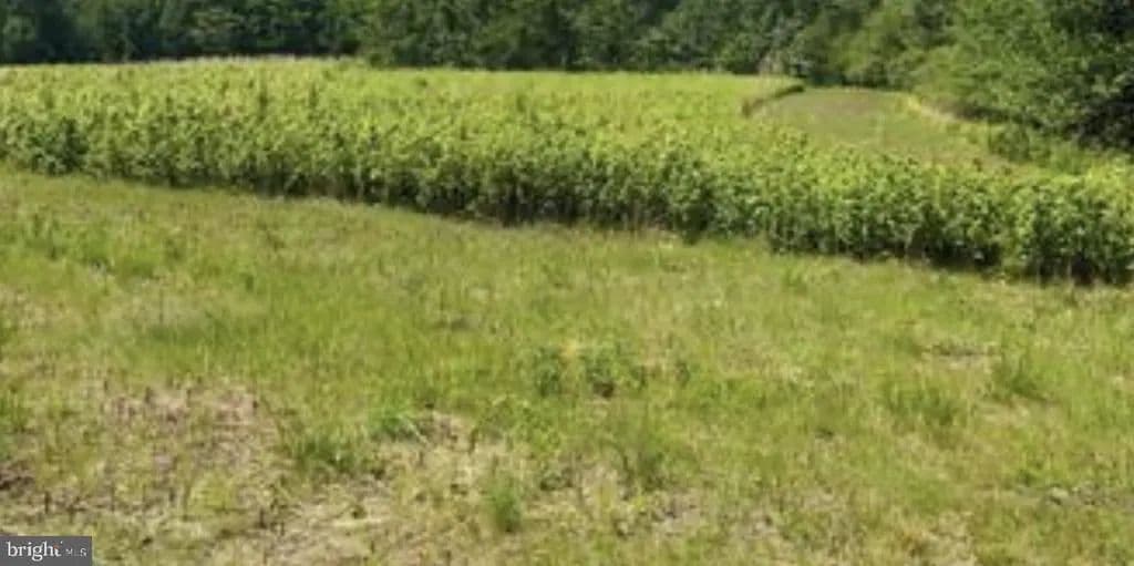 Property from Lot B Kings Highway KINGS HIGHWAY - KW - Montross, Virginia, 22520