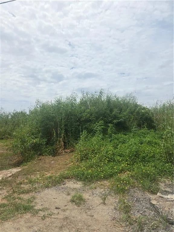 Property from Lots 1-4 QUINCE Lane - KW - Grand Isle, Louisiana, 70358