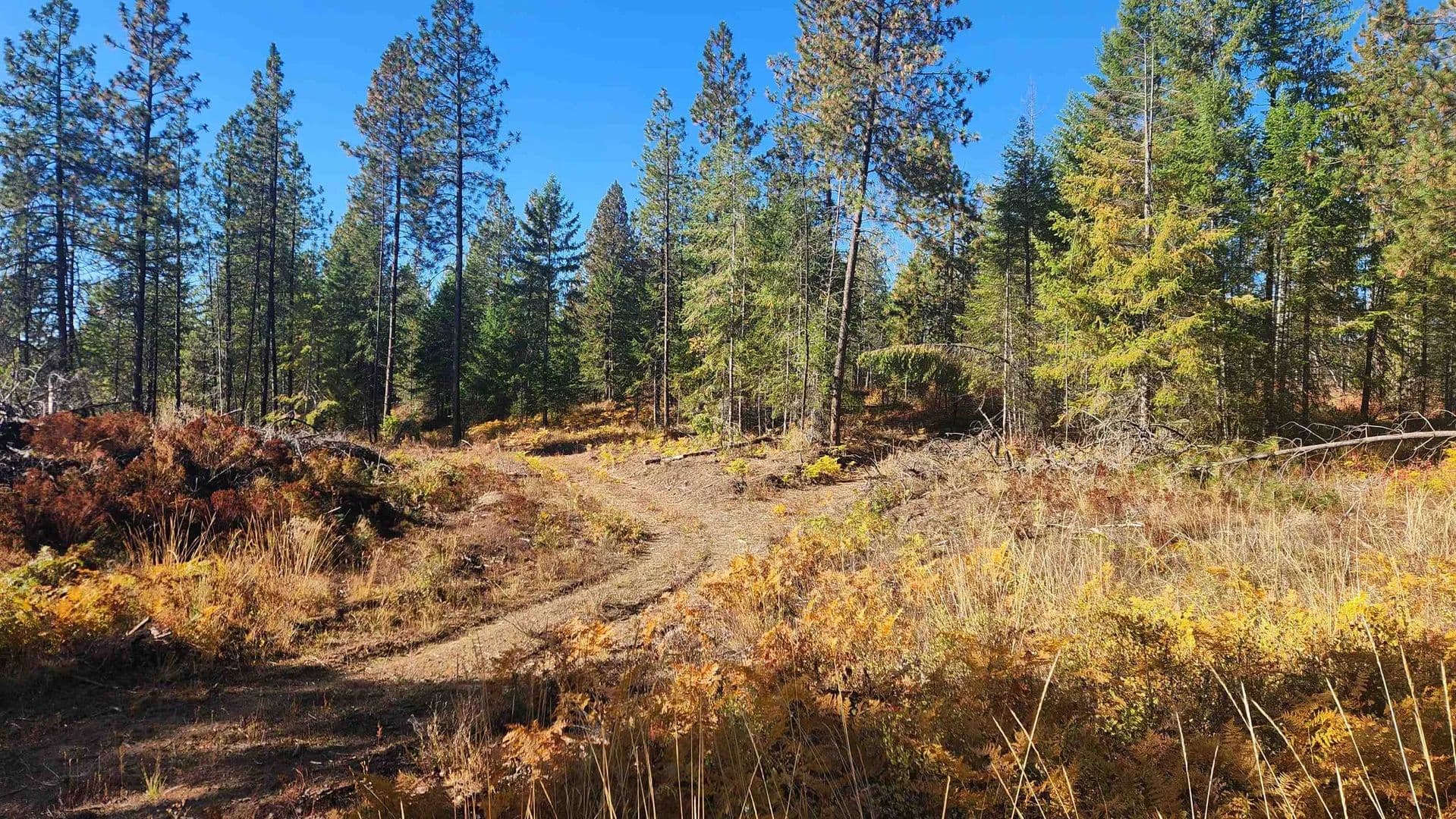 Property from 43xx Lyons Hill Rd - KW - Springdale, Washington, 99173