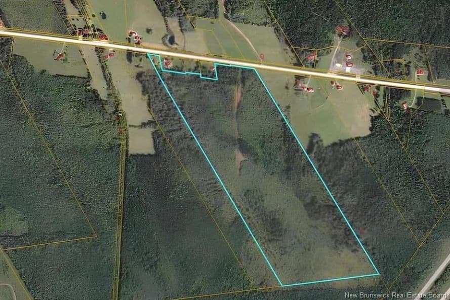 Land for Sale in Youngs Cove, 10872 Route 10 - land for sale